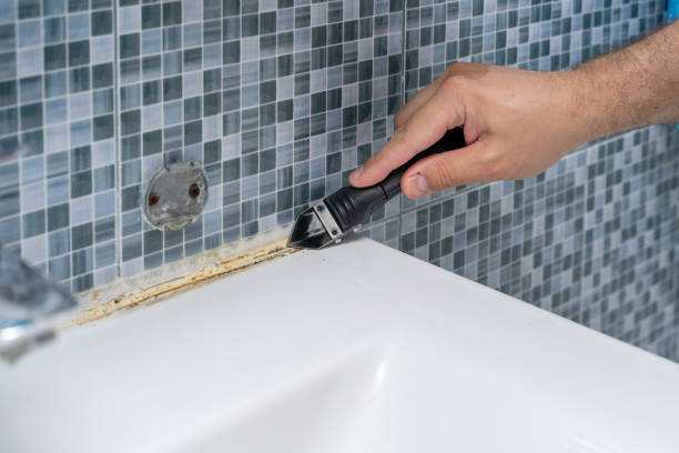 Best Professional Mold Removal  in Lumbine, CO
